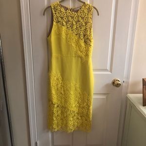 Alice and Olivia midi dress